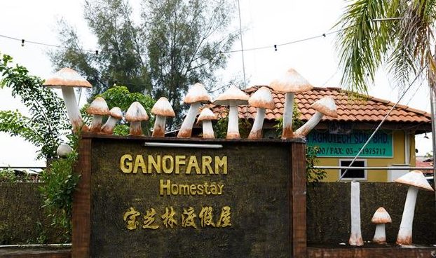 Kadar Terbaik di Tanjung Sepat 1 kadar terbaik di tanjung sepat