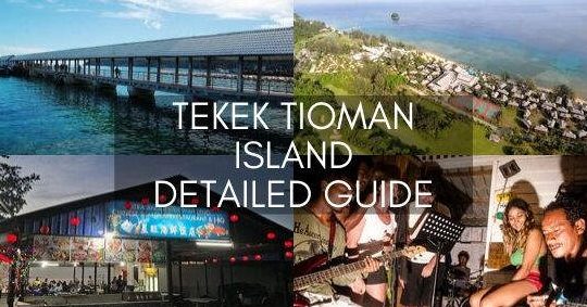 pelabur wang terbaik di kampung tekek