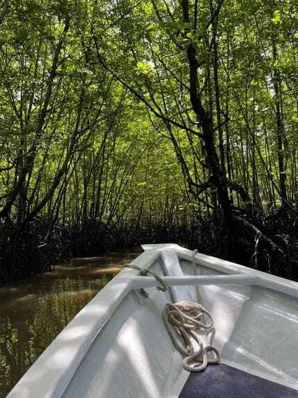 unesco geopark mangrove cruise